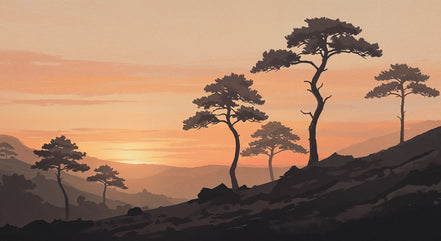 Coucher de Soleil sur les Pins