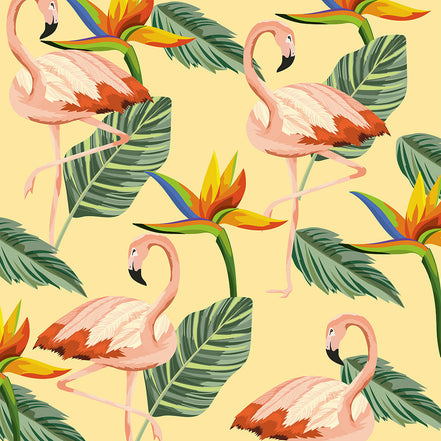 Flamants Roses et Fleurs du Paradis