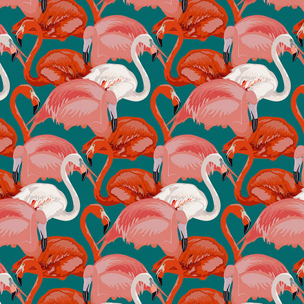 La Danse des Flamants Corail