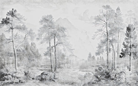 Paysage Forestier Brumeux en Grisaille