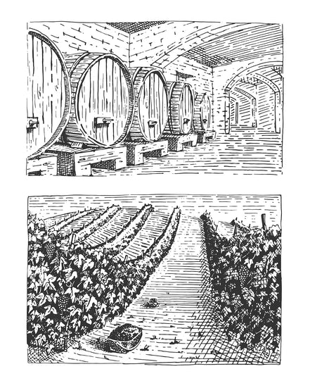 Paysage Viticole Gravé