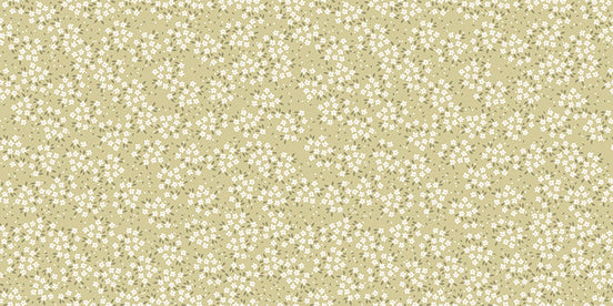 Champ de Fleurons Blancs