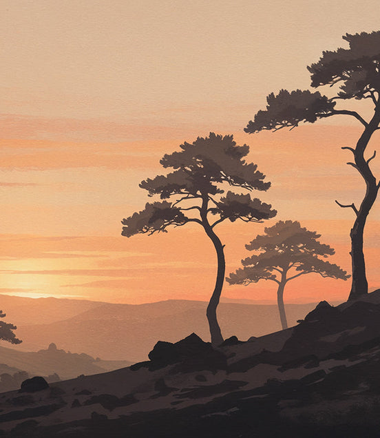Coucher de Soleil sur les Pins