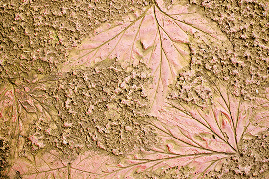 Feuilles Fossilisées en Relief