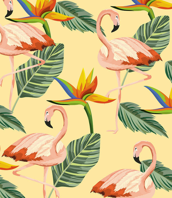 Flamants Roses et Fleurs du Paradis