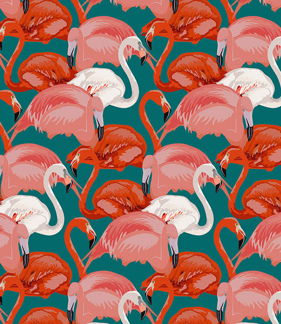 La Danse des Flamants Corail