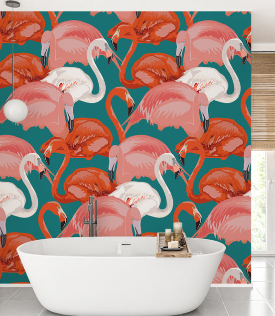 La Danse des Flamants Corail
