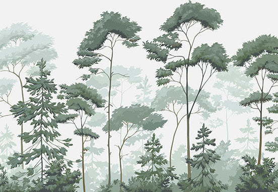 La Forêt Boréale Apaisante