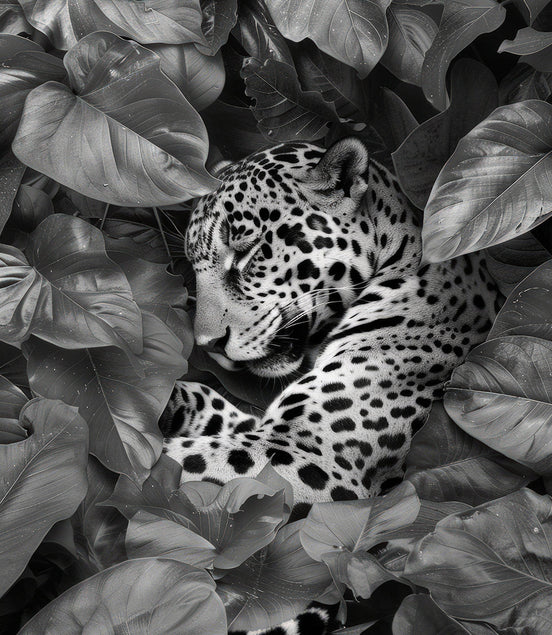 Le Repos du Jaguar