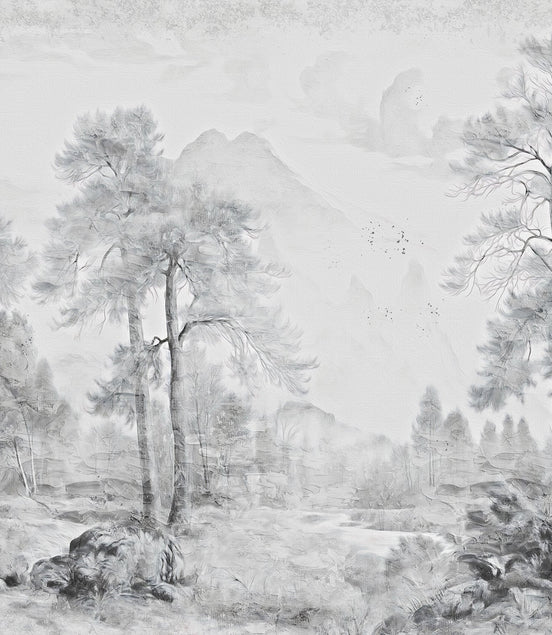 Paysage Forestier Brumeux en Grisaille