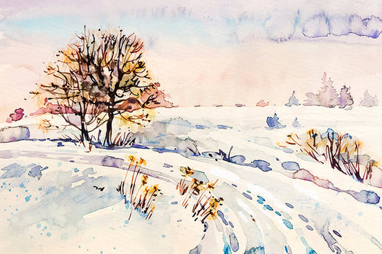 Paysage Hivernal Aérien