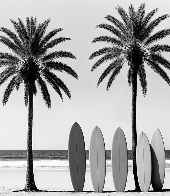 Plages Tropicales en Noir et Blanc