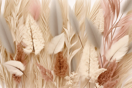 Plumes et Pampas en Douceur