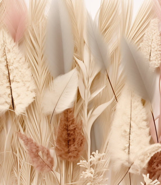 Plumes et Pampas en Douceur